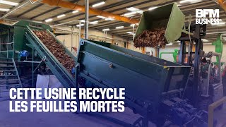 Cette usine recycle les feuilles mortes [upl. by Krefetz]