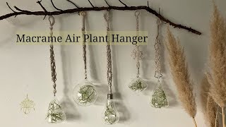 Hanging Gardens Craft Your Own Macrame Air Plant Hanger [upl. by Arst]