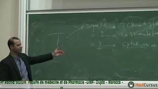 Les rôles des lymphocytes T4 et T8 Partie1  Pr Rachid SEDDIK faculté de médecine oujda [upl. by Sirmons394]