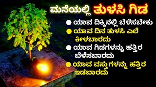 ಮನೆಯಲ್ಲಿ ತುಳಸಿ ಗಿಡ ಬೆಳೆಸುವಾಗ ಯಾವ ಎಚ್ಚರಿಕೆ ತೆಗೆದುಕೊಳ್ಳಬೇಕು Tulsi growth in Kannada  Precautions [upl. by Cornelie]