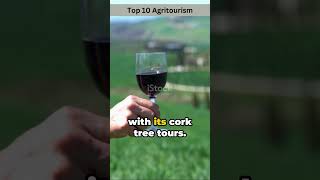 Discover the Top 10 Agritourism Destinations You Cant Miss tourism travel agritourism explore [upl. by Onurb623]