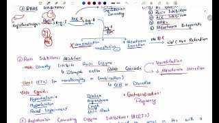 Antihypertensive Pharmacology  RAAS Inhibitors  ACE inhibitors  Angiotensin Receptor Blockers P3 [upl. by Anevad]