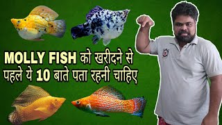 ये 10 बाते Molly Fish को खरीदने से पहले आपको पता रहनी चाहिए [upl. by Devlin240]