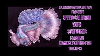 Schpirerr Farben Speed Coloring  Image Siamese Fighting Fish by Tim Jeffs [upl. by Silin]