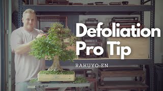 Defoliation Pro Tip  How to Quickly Defoliate Your Bonsai [upl. by Adyaj]