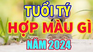 Tuổi Tý hợp màu gì năm 2024 để mang lại may mắn tài lộc I tuổi tý kỵ màu gì nhất [upl. by Pisano]