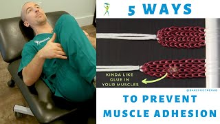 5 SURE FIRE WAYS TO PREVENT ADHESION THE GLUE IN YOUR MUSCLES THAT CAUSES YOUR PAIN [upl. by Agnola897]