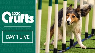 Day 1 Live  Crufts 2020 [upl. by Mcclary694]