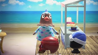 Animal Crossing New Horizons House Tour Plucky Villager [upl. by Anirrehs]