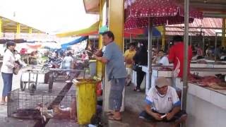 Tomohon market in Indonesia [upl. by Clo]