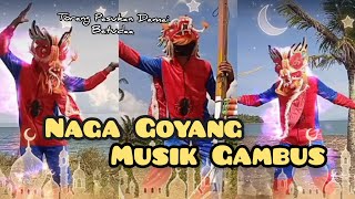 Naga Goyang Di iringi Musik Gambus I TORANG PASUKAN DAMAI I TIKTOK VIRAL [upl. by Eanrahc]