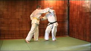 Ippon seoi nage [upl. by Spindell558]