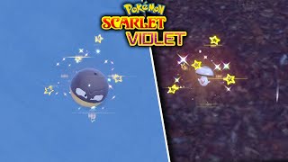 NEW MASS OUTBREAK EVENT IN POKEMON VIOLET Need Shiny Hisui Voltorb amp Foongus [upl. by Ardnuas]