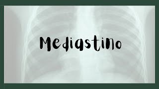 Estructuras del mediastino [upl. by Martinson566]