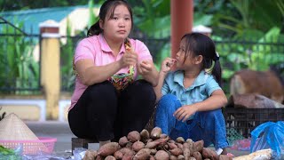 Harvest purple sweet potatoes go to market sell Buy flock of ducklings to raise  Catch fish cook [upl. by Ontine]