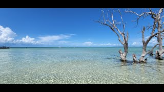 Out snorkeling to Looe Key Reef and the BEAUTY of Snipes Point Sandbar [upl. by Essilec]