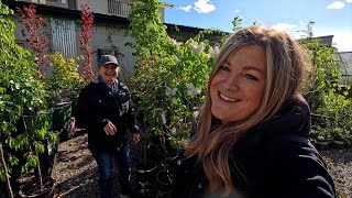 LONG Garden Center Walkthrough  Shopping with Mom 🌳🌸🌿  Garden Answer [upl. by Mcadams]