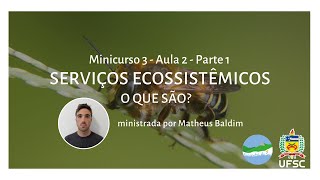 Minicurso 3  O que são Serviços Ecossistêmicos  Aula 2  Parte 1 [upl. by Annaej]