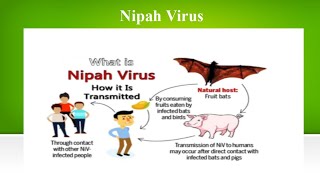 quotUnderstanding Nipah Virus Symptoms Transmission and Preventionquot Nipah Virus 🦠 Silent Threat • [upl. by Venu]