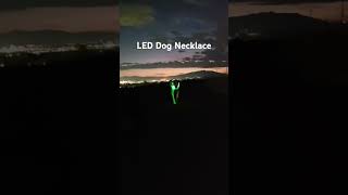 LED Dog Necklace [upl. by Fenn358]