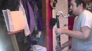 Tchaikovsky Nutcracker Bass Clarinet Excerpts [upl. by Nnednarb420]