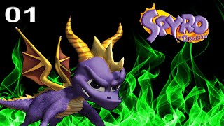 Spyro the Dragon 120 Walkthrough HD  Part 1 Artisans Home [upl. by Ahseneuq]