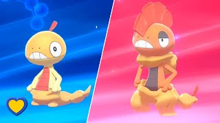 HOW TO Evolve Scraggy into Scrafty in Pokémon Sword and Shield [upl. by Ssitnerp]