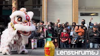 Leung’s White Crane Drunken Lion Dance [upl. by Garrison]