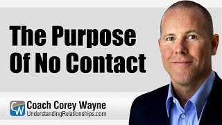 The Purpose Of No Contact [upl. by Aggarwal]