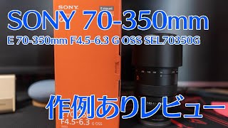 SONYの望遠レンズ「E 70350mm F4563 G OSSSEL70350G」購入レビュー  FE 70300mmとの比較も！ [upl. by Secilu615]