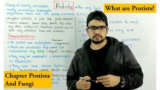 What are Protists  Kingdom Protista Introduction  Protista and Fungi [upl. by Chas]