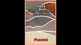 Tosca E Lucevan le Stelle Shorts 1 puccini [upl. by Erikson]