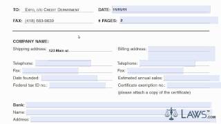 Learn How to Fill the Credit Application form [upl. by Runkel]