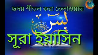 সূরা ইয়াসিন অর্থসহ। surah yasin with bangla translationQari Shakir Qasmi [upl. by Amsab]