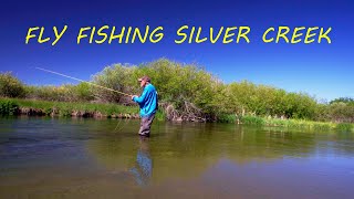 Earlyseason Fly Fishing Silver Creek Idaho and having a big mouse problem too ￼￼ [upl. by Catt]