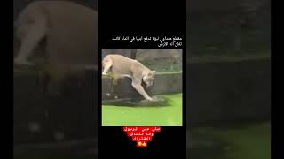 سبحان الخالق العظيم 😨😇 اكسبلور كيفيه علمالنفس شعر [upl. by Ogaitnas655]