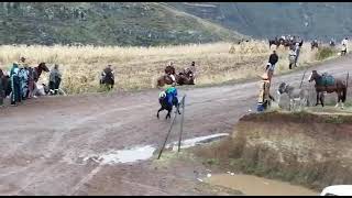 Lesotho horse racing  winner Matorokisi [upl. by Nitsirc]