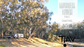 NARRANDERA STATE FOREST CAMPING [upl. by Argent]