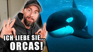 Intelligenter als der Mensch  Die verrückte Biologie der Orcas  Robert Marc Lehmann [upl. by Atnahc]