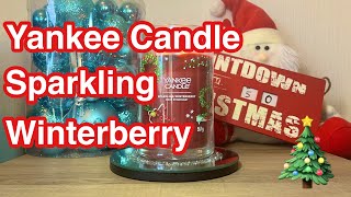 Yankee Candle Sparkling Winterberry Review amp Chit Chat 🎄 [upl. by Brindle]