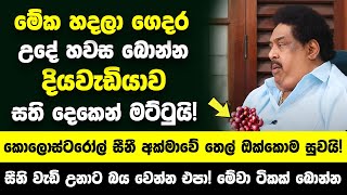 මේක හදලා ගෙදර උදේ හවස බොන්න  දියවැඩියාව කොලොස්ටරෝල් සීනී අක්මාවේ තෙල් සති දෙකෙන් සුව වෙනවා [upl. by Louisa784]