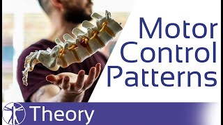 Motor Control Patterns in Low Back Pain [upl. by Atiuqel]