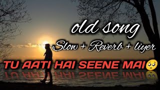 TU AATI HAI SEENE MAIN🥺 old song viral  Slow  Reverb  liyer Old is Gold viralsong 1Million [upl. by Lodhia]