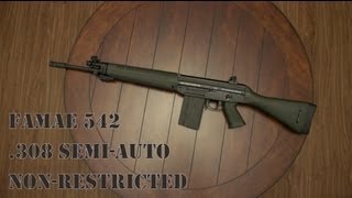 FAMAE SG542 308 SemiAuto Chilean Rifle Hands On aka quotSig SG 540quot [upl. by Lennej]