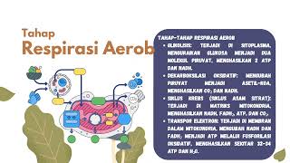 BIOLOGI RESPIRASI AEROB DAN ANAEROB [upl. by Ave470]