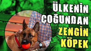 KÖPEĞİNE 4 MİLYAR LİRA MİRAS BIRAKTI [upl. by Clyte]