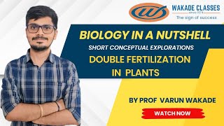 Double Fertilization in plants [upl. by Kassey324]