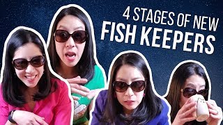 4 Stages of New Fish Keepers [upl. by Salocin600]