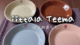 iittala ティーマの食器をはじめて購入しました【開封動画】 [upl. by Light]