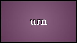 Urn Meaning [upl. by Wadlinger]